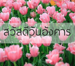 Sawasdee sticker #14442584