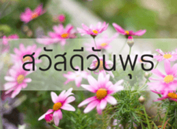 Sawasdee sticker #14442585