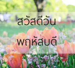 Sawasdee sticker #14442586