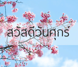 Sawasdee sticker #14442587