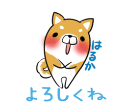 HARUKA's exclusive sticker sticker #14443449