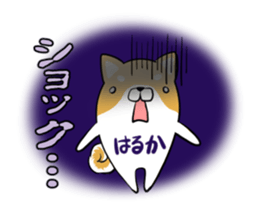 HARUKA's exclusive sticker sticker #14443472