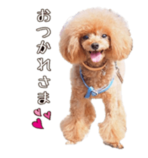 fanchocorin sticker #14443958