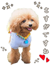 fanchocorin sticker #14443959