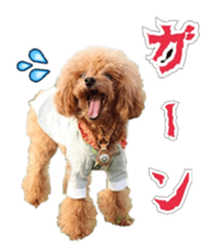 fanchocorin sticker #14443960