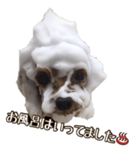 fanchocorin sticker #14443963