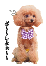 fanchocorin sticker #14443964