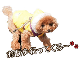 fanchocorin sticker #14443965