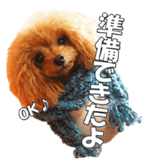 fanchocorin sticker #14443966