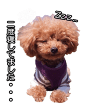 fanchocorin sticker #14443967