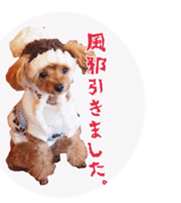 fanchocorin sticker #14443970