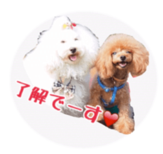 fanchocorin sticker #14443971