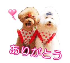 fanchocorin sticker #14443972