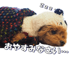 fanchocorin sticker #14443973