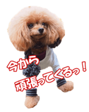 fanchocorin sticker #14443975