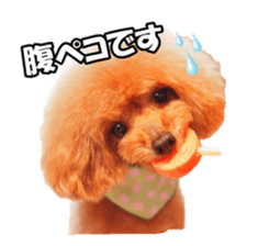 fanchocorin sticker #14443976