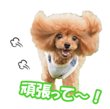 fanchocorin sticker #14443977