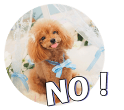 fanchocorin sticker #14443978