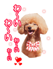 fanchocorin sticker #14443982