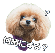 fanchocorin sticker #14443983