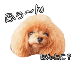 fanchocorin sticker #14443986