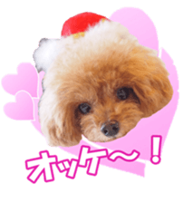 fanchocorin sticker #14443987