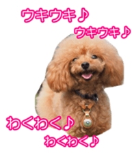 fanchocorin sticker #14443988