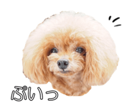 fanchocorin sticker #14443989