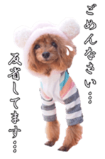 fanchocorin sticker #14443990