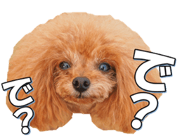 fanchocorin sticker #14443991