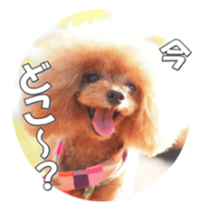 fanchocorin sticker #14443992