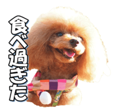 fanchocorin sticker #14443993