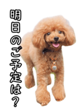 fanchocorin sticker #14443994