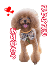 fanchocorin sticker #14443995