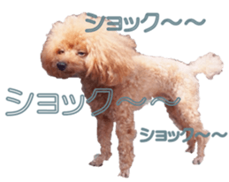 fanchocorin sticker #14443996