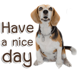 Naugthy Woof and Meow gang (Eng) sticker #14444441