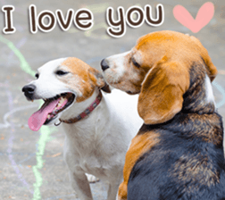 Naugthy Woof and Meow gang (Eng) sticker #14444448