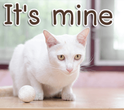 Naugthy Woof and Meow gang (Eng) sticker #14444450