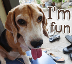 Naugthy Woof and Meow gang (Eng) sticker #14444462