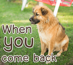 Naugthy Woof and Meow gang (Eng) sticker #14444465