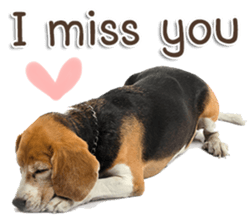 Naugthy Woof and Meow gang (Eng) sticker #14444467