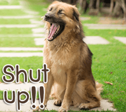 Naugthy Woof and Meow gang (Eng) sticker #14444469