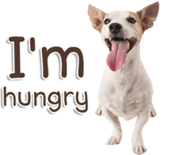 Naugthy Woof and Meow gang (Eng) sticker #14444471