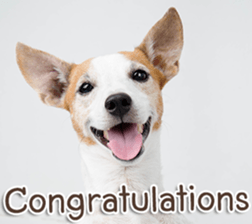 Naugthy Woof and Meow gang (Eng) sticker #14444475