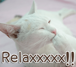 Naugthy Woof and Meow gang (Eng) sticker #14444476