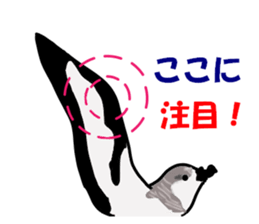 Rare Birds in Japan sticker #14444479