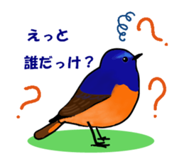 Rare Birds in Japan sticker #14444480