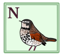 Rare Birds in Japan sticker #14444482