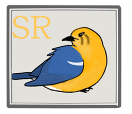 Rare Birds in Japan sticker #14444484