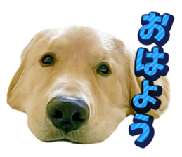 Sasuke-chan and Kojiro-chan sticker #14444822